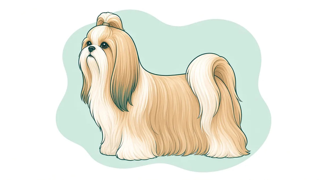 Silky / long coat illustration (Yorkshire Terrier)