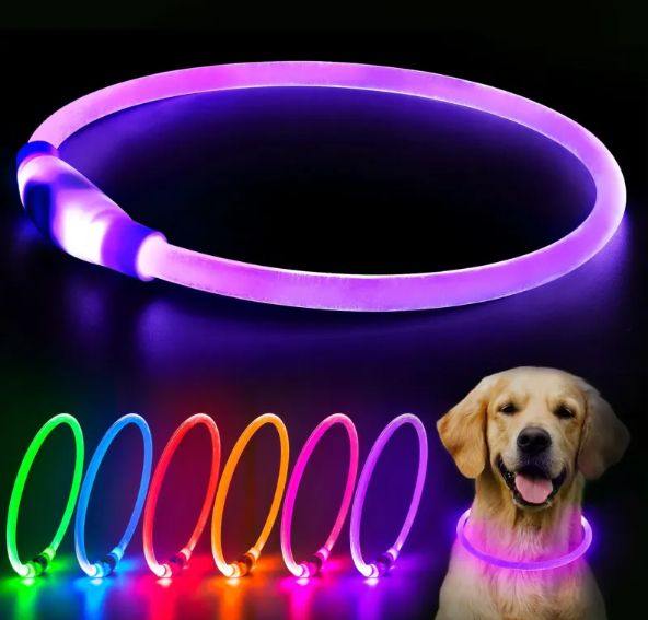 Pawradise LED Rechargeable Safety Collar
