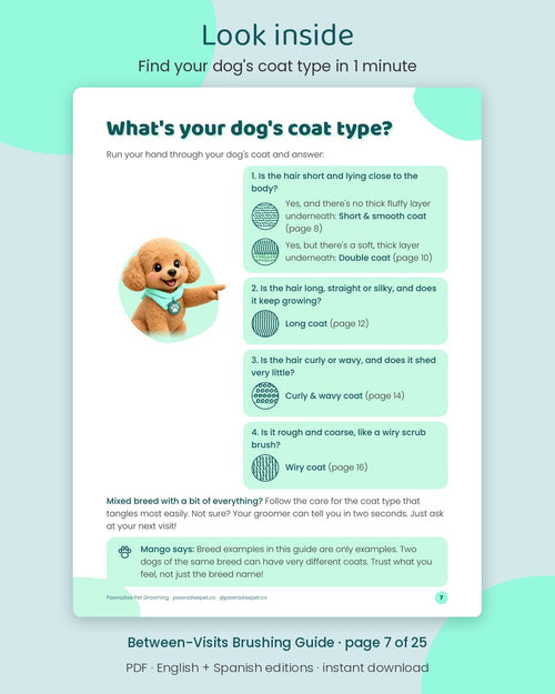 Look inside Mango's Between-Visits Brushing Guide: Find your dog's coat type in 1 minute (page 7 of 25)