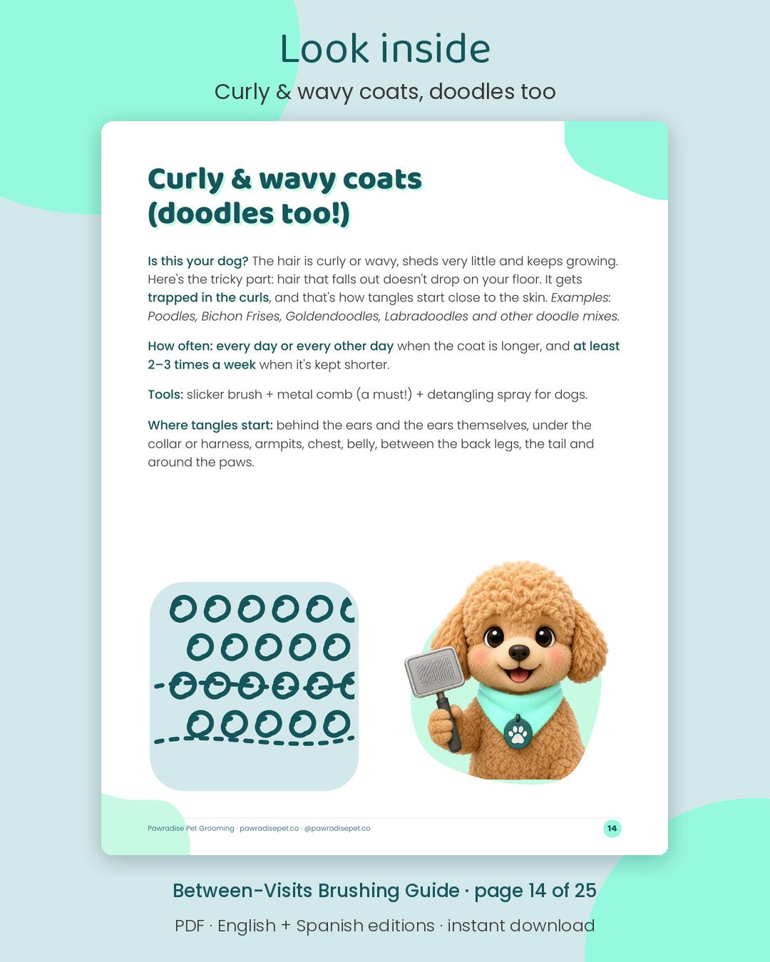 Look inside Mango's Between-Visits Brushing Guide: Curly & wavy coats, doodles too (page 14 of 25)