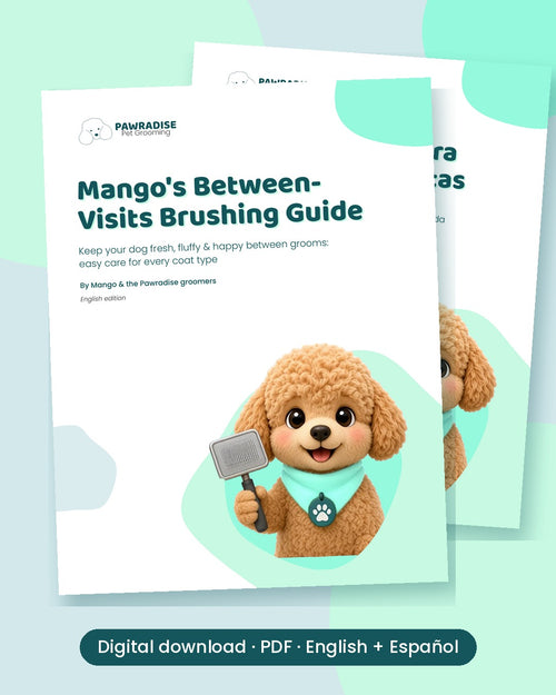 Mango's Between-Visits Brushing Guide (PDF, English + Spanish)
