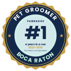 #1 Pet Groomer in Boca Raton, 4 years in a row 2023-2026